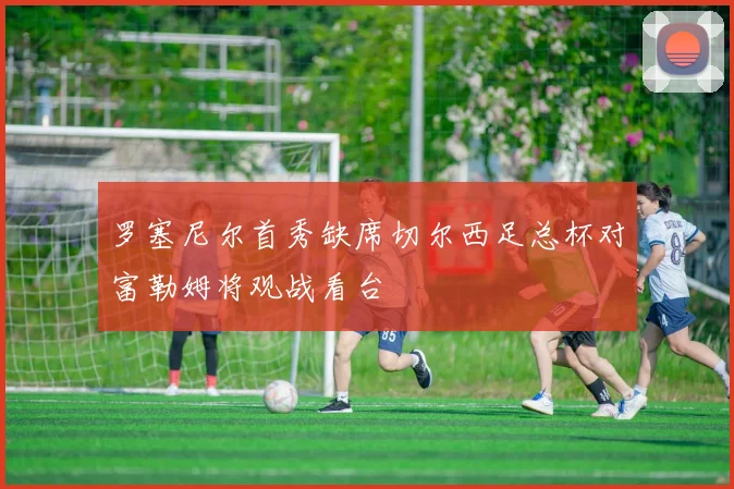 罗塞尼尔首秀缺席切尔西足总杯对富勒姆将观战看台