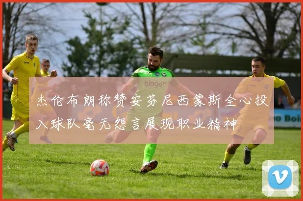 杰伦布朗称赞安芬尼西蒙斯全心投入球队毫无怨言展现职业精神